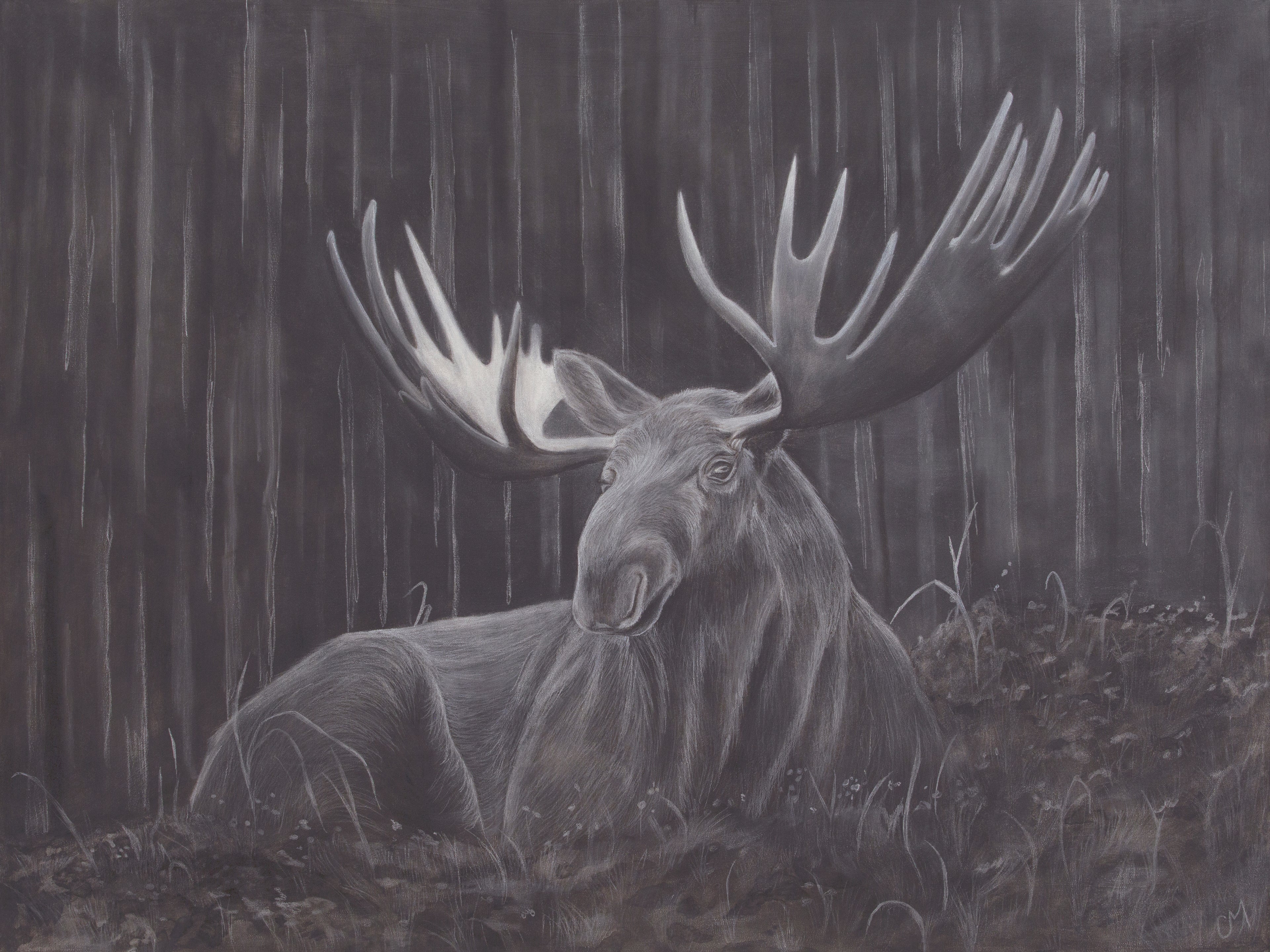 Moose Charcoal Drawing Print