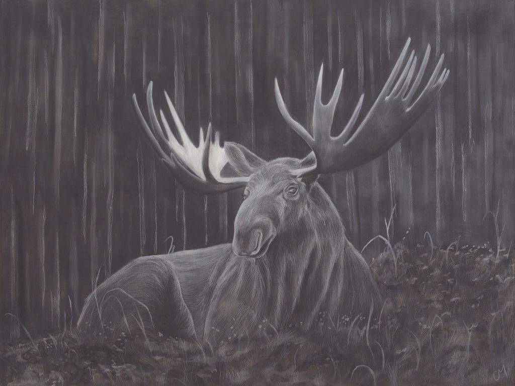 Original Charcoal Moose Drawing