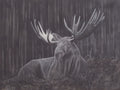 Original Charcoal Moose Drawing