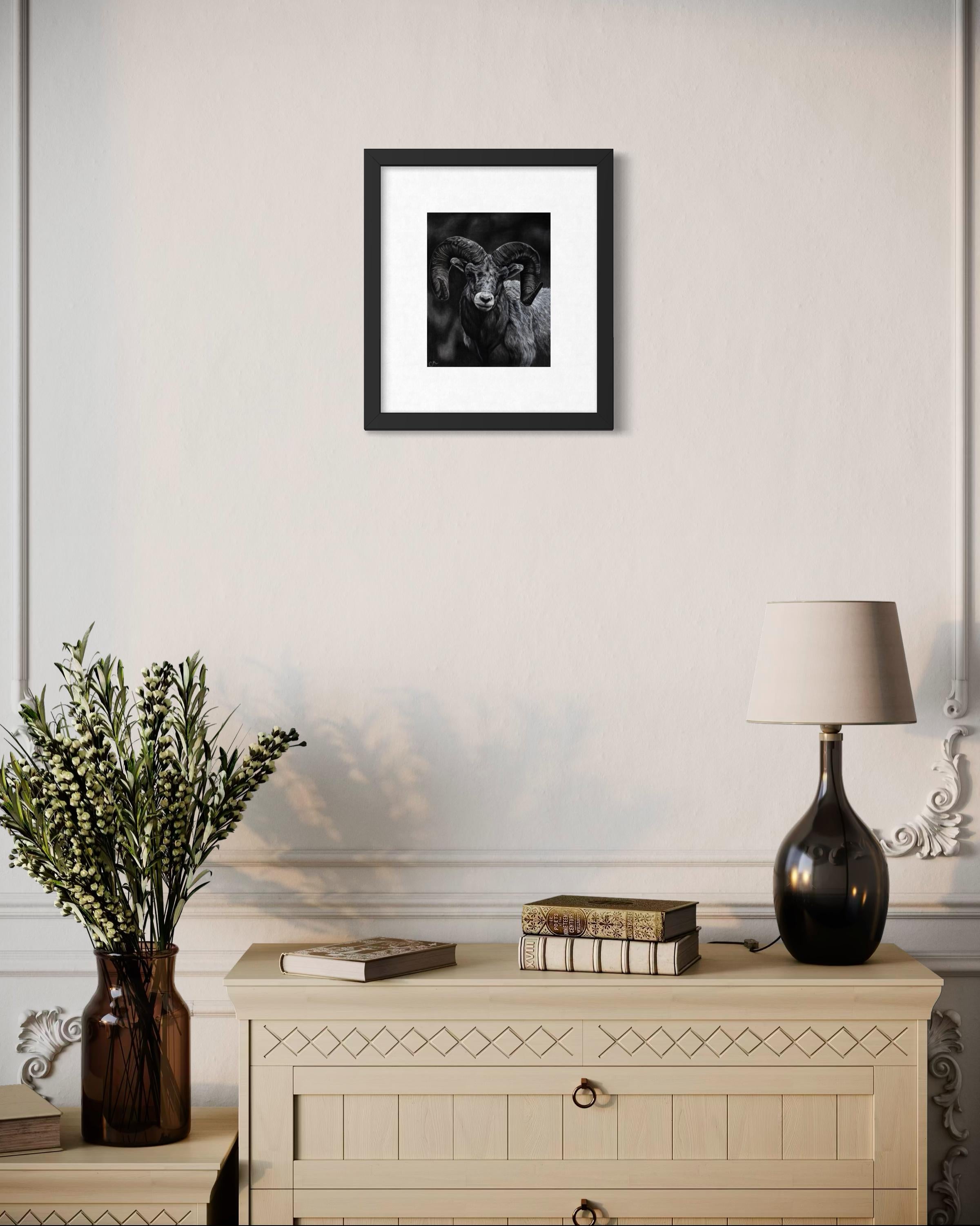 Ram Charcoal Drawing 8x10 Print with 11x14 Matte Border