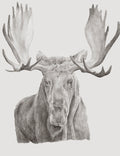 Moose Pencil Sketch Print