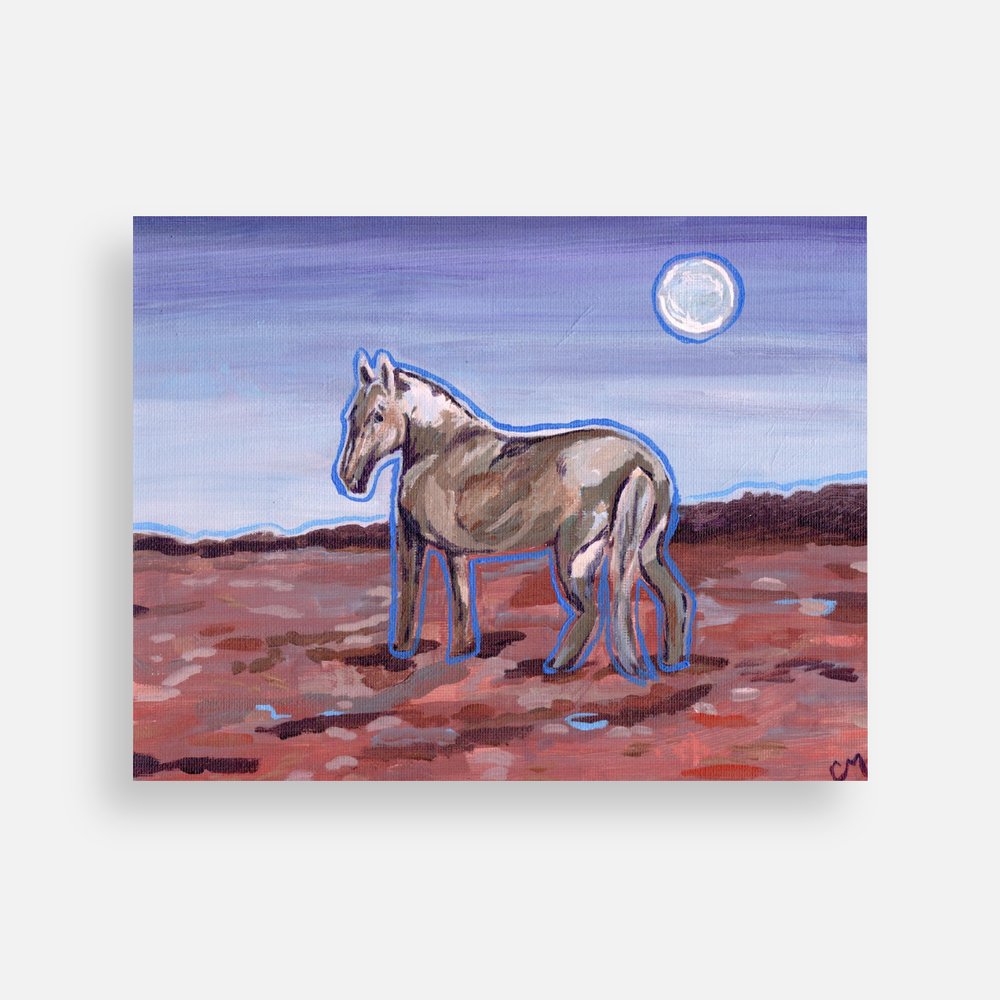 Western Horse Postcard