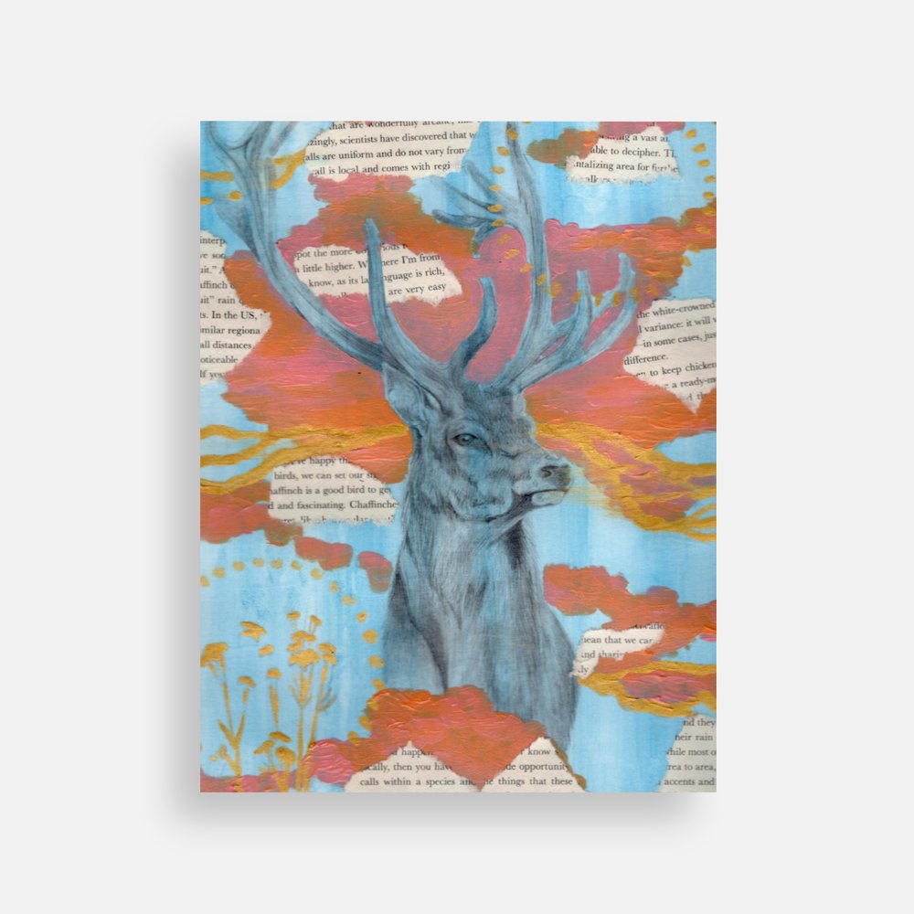 Elk Postcard